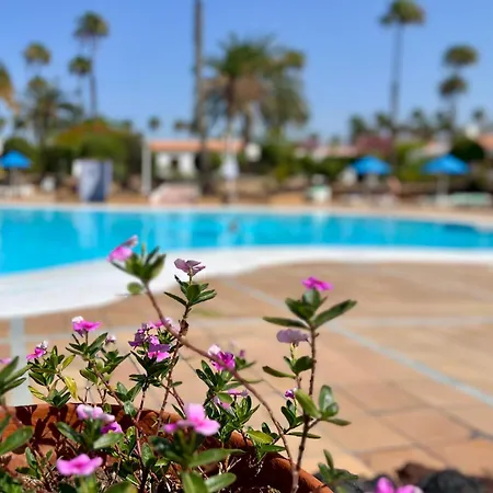 Con Piscina Apartment *